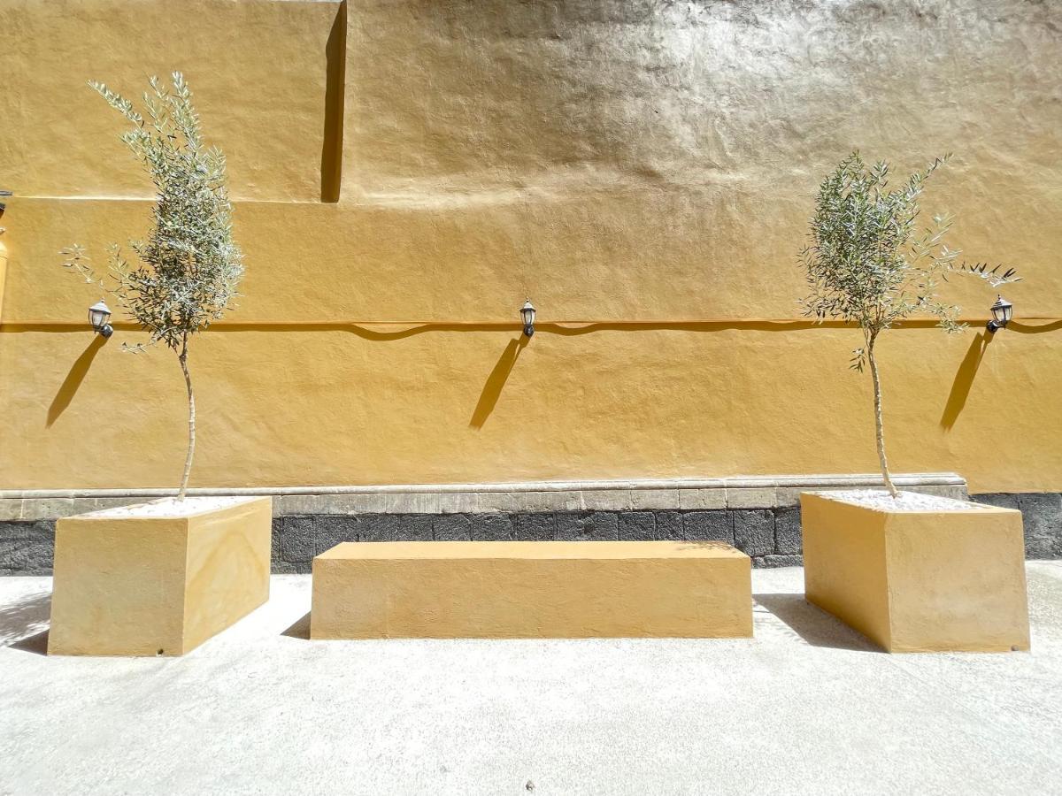 فندق Colmena Centro مدينة مكسيكو المظهر الخارجي الصورة